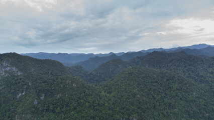 Fototapeta na wymiar High angle view tropical forest