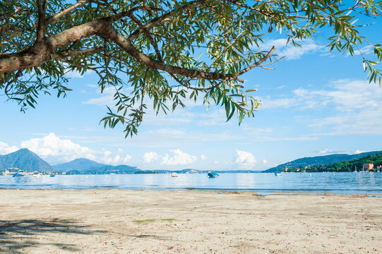 Strand mit Baum und Ausblick auf Berge bei Feriolo, Lago Maggiore