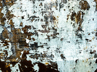 Grungy section of wall ideal for backgrounds