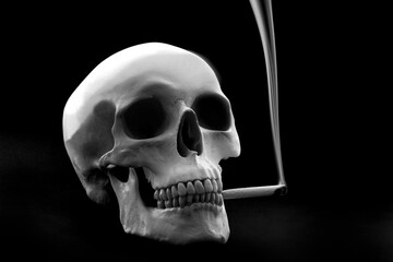 a human skull with a cigarette, smoke kills concept