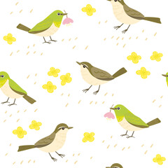 Seamless pattern of white-eye and warbler bird, spring wild bird, vector hand-drawn illustration.