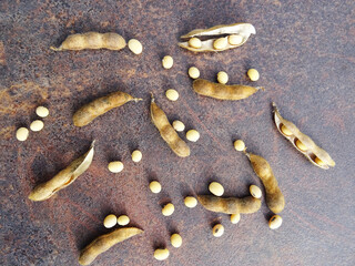 Soybean harvest, harvested seeds in pods, ripe soybean plants, background image