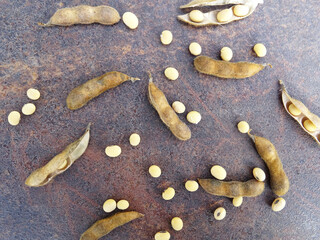 Soybean harvest, harvested seeds in pods, ripe soybean plants, background image