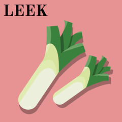 illustration of a leek, for teacher, student , collage, presentation, brochure, banner, ads, power point , and another comercial use, green, pink, white, light yellow
