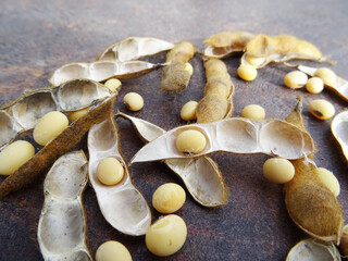 Soybean harvest, harvested seeds in pods, ripe soybean plants, background image