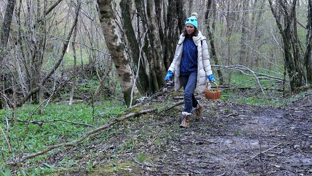 Adult Caucasian Woman  in Search of Wild Garlic Leafs or Ramson Wildflower in Early Spring European Woods