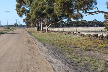 road in australian rural countryside