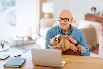 Middle age businessman sitting at home and using laptop while his cute dog sitting in his lap