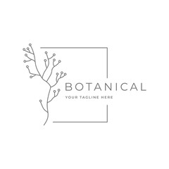 Botanical hand drawn minimal logo. Graphic tree branch in vector