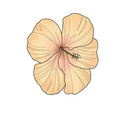 Fototapeta premium Flower yellow 