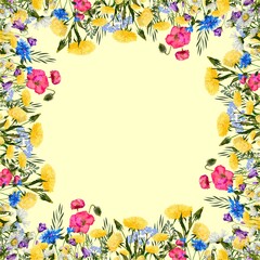 Beautiful wild flowers. Meadow flowers, field flowers.
Wild plants and flowers, drawing watercolor, field herbs, natural background, hand drawn illustration. Frame