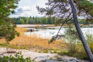 Sea and forest. Fäboda, Jakobstad/Pietarsaari. Finland