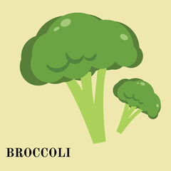 illustration of a broccoli, vector, green, health, soup broccoli, for teacher, banner, illustration, food, power point, flyer, brochure, and comercial use
