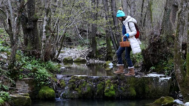 Adult Caucasian Woman Crossing Water Stream from right to left in Search of Wild Garlic Leafs or Ramson Wildflower in late Winter 