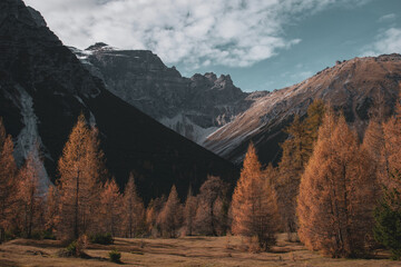 Autumn Landscape in the Austrian Alps