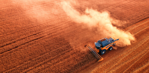 The harvester is working in the field. Harvesting wheat.
