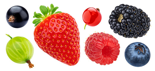 Berry isolated on white background with clipping path, collection