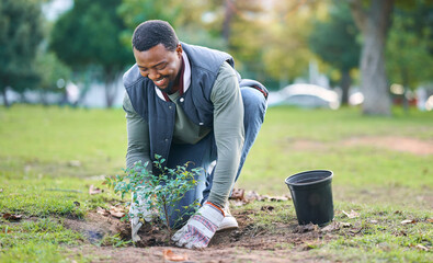 Community service, volunteering and black man plant trees in park, garden and nature for...