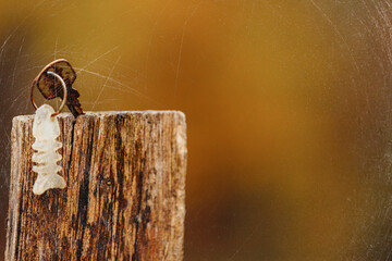 Old rusty key sticking out of a wooden stump. photo with scratches