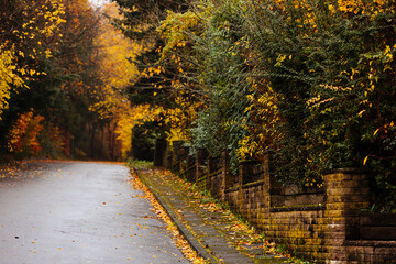 Stone road leading to the autumn forest