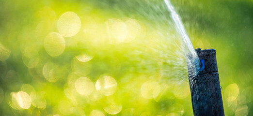 automatic sprinkler system watering the lawn close up - obrazy, fototapety, plakaty