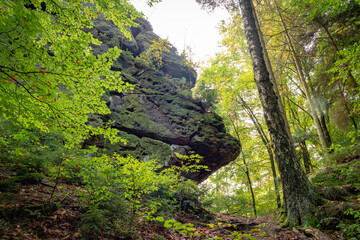 Panoramic birdview over monumental Bastei sandstone pillars near Kurort Rathen village in the national park Saxon Switzerland by Dresden and Elbe river, Saxony, Germany