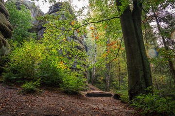 Panoramic birdview over monumental Bastei sandstone pillars near Kurort Rathen village in the national park Saxon Switzerland by Dresden and Elbe river, Saxony, Germany
