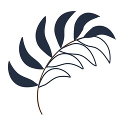 Floral element on white background 