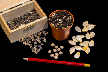 Seeds, pots, pencil and labels, everything to start seeding seeds.
