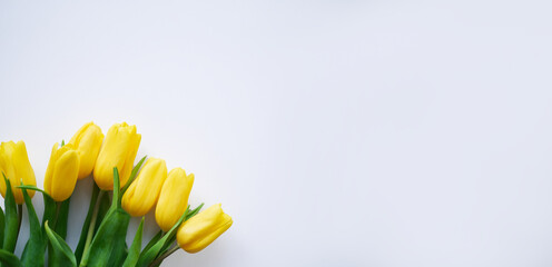 Naklejka premium Flowers composition. Yellow tulip flowers on soft white background. Spring, summer concept