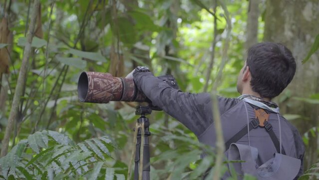 Professional wildlife photographer, camera in hand big lens in Jungle Forest
