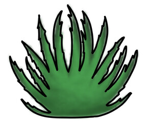 green plant. aloe. succulent. with black lining. drawn in adobe fresco. for postcards, posters, patterns, print