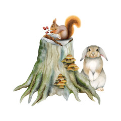 Cute woodland animals standing on stump with mushrooms. Watercolor illustration with forest rabbit and squirrel