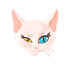 Fototapeta na wymiar Cute white sphinx cat with colorful blue and yellow eyes. Vector cat illustration, cat head. 