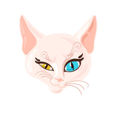 Cute white sphinx cat with colorful blue and yellow eyes. Vector cat illustration, cat head. 
