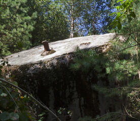 Old rural wooden houses. Elements of architecture walls, windows, roofs. On a sunny summer day.