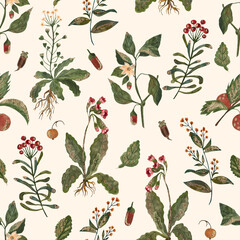 wild plants. Seamless pattern. watercolor illustration