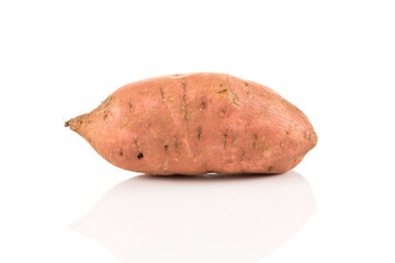 Sweet potato on the white background