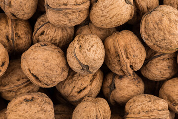 Walnut nut closeup
