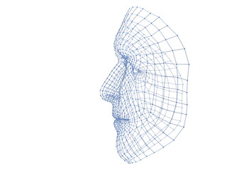 3 D Human head medical scan. Model wireframe 