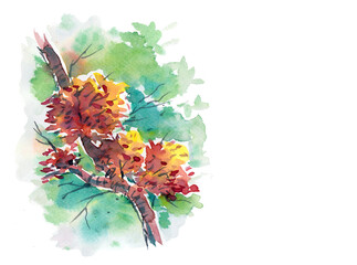 bouquet of wildflowers watercolors for card decoration illustration