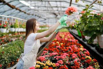 Young woman florist spraying water on houseplants in flower pots by sprayer. Closeup of female...