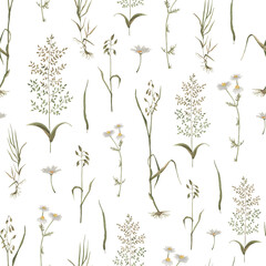 Watercolor pattern wildflowers, dark background light, chamomile