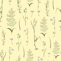 Watercolor pattern wildflowers, dark background light, chamomile