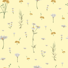 Watercolor pattern wildflowers, dark background light, chamomile