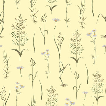 Watercolor pattern wildflowers, dark background light, chamomile © WatercolorDigitalArt