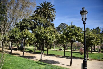Palm trees in the park with lake, street lamps and landmark