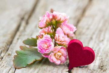 kalanchoe flower and heart on wooden background