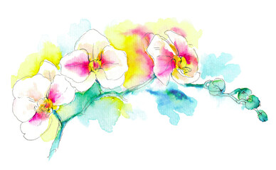 Branch of white-pink orchids. Hand drawn vibrant floral illustration with paper texture. Bright watercolour and ink. Isolated on white background.