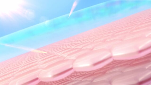 3D Animation Skin cell geometry with a hexagonal shape that reflects UV light. Advertisements for lotion, serum, sunscreen, and cosmetics. UV protection.